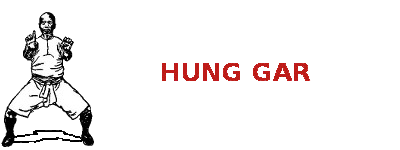 hung gar photo